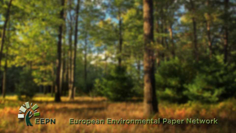120 ONGs se unen a Global Vision Paper para fomentar la sostenibilidad en la industria papelera